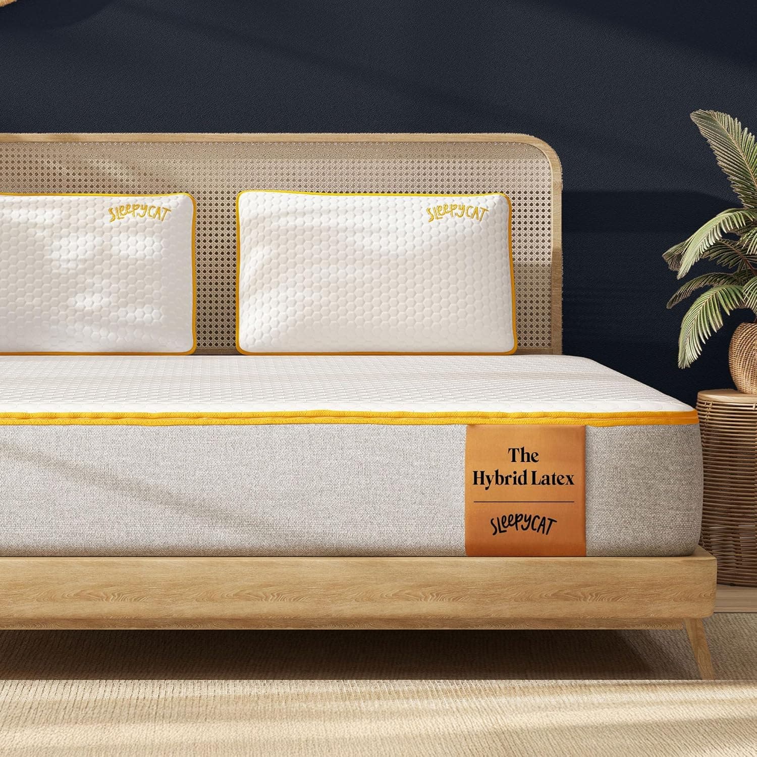 SleepyCat Latex Mattress | 10 Years Warranty | Firm, Orthopedic 8-inch Hybrid Mattress with Pinhole Tech Latex & Memory Foam Layers | 5-Zone Support and Bamboo Cover (King-75x72x8 Inch)
